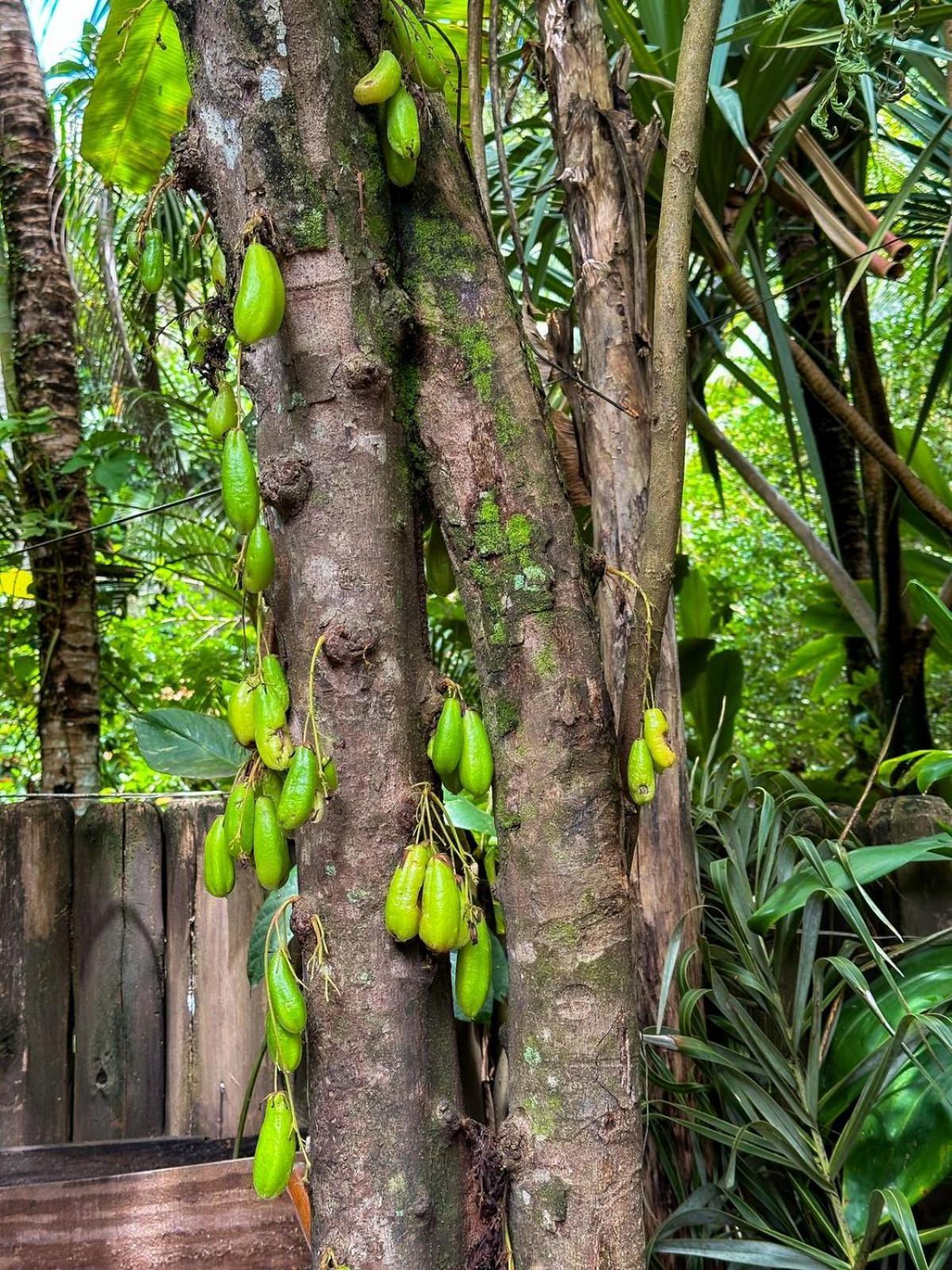 Casa Da Gloria Trancoso - Pousada Boutique ภายนอก รูปภาพ